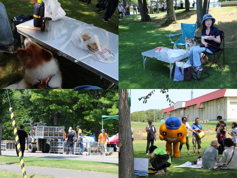 ファイル 85-1.jpg