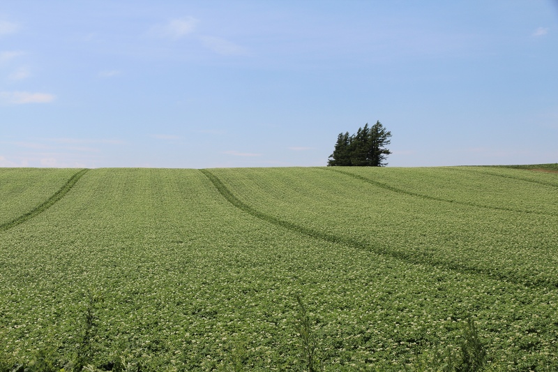 ファイル 85-4.jpg