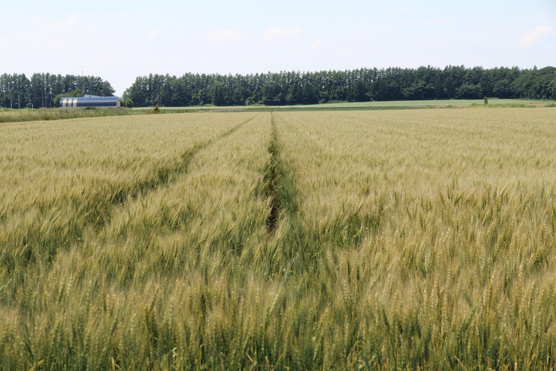 ファイル 85-5.jpg