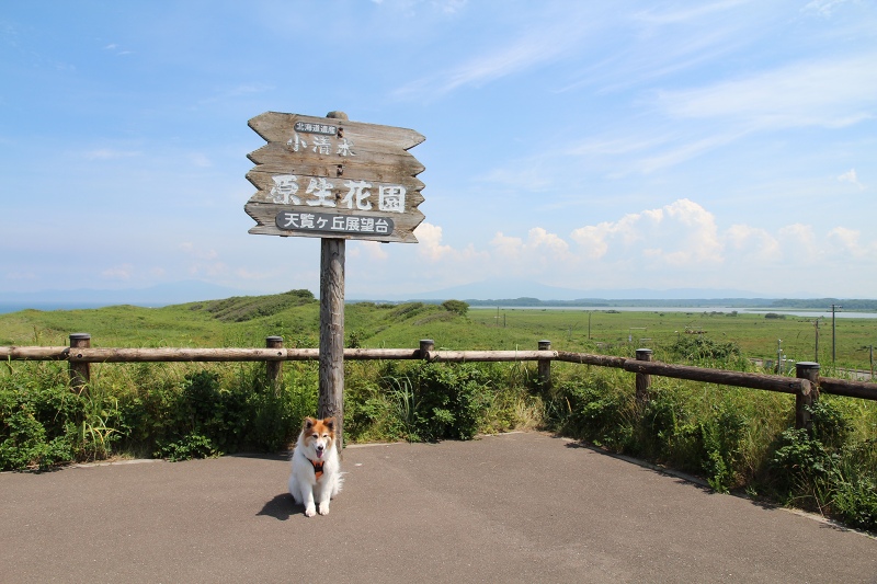 ファイル 85-6.jpg