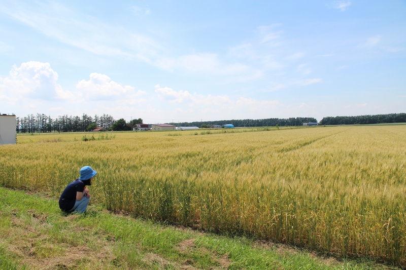 ファイル 85-8.jpg