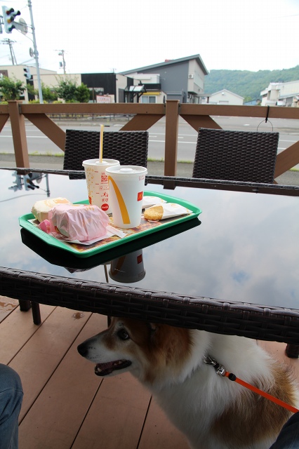 ファイル 86-1.jpg