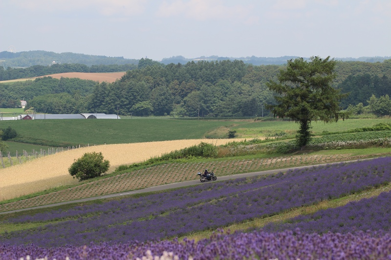 ファイル 86-6.jpg