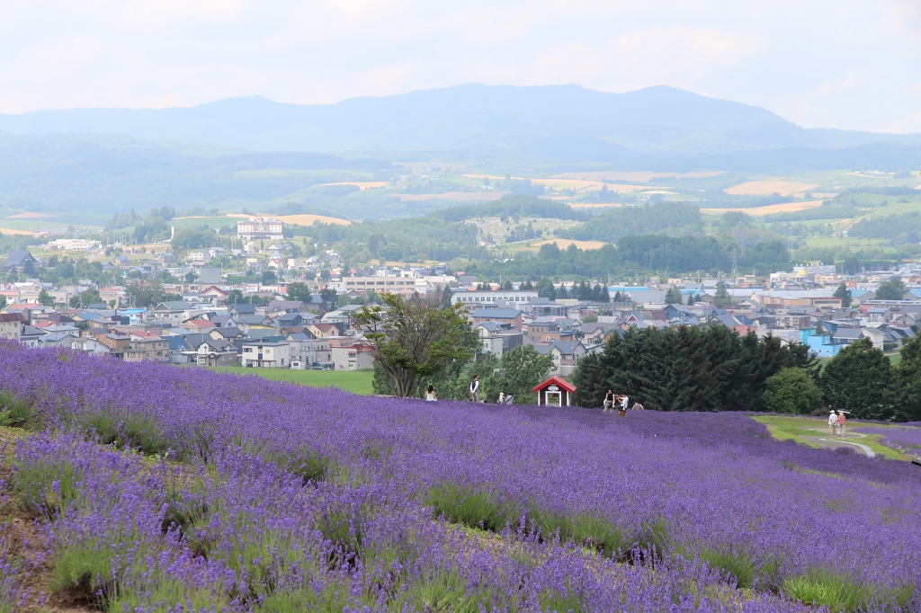 ファイル 86-7.jpg