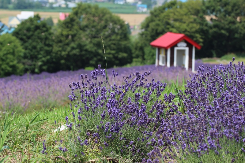 ファイル 86-8.jpg