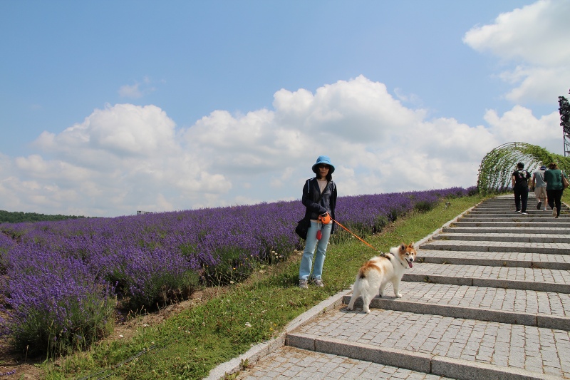 ファイル 86-9.jpg