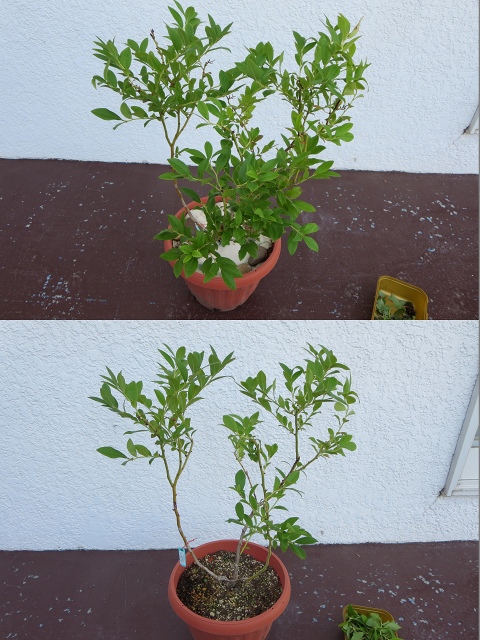 ファイル 88-4.jpg