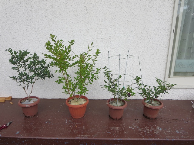 ファイル 88-5.jpg