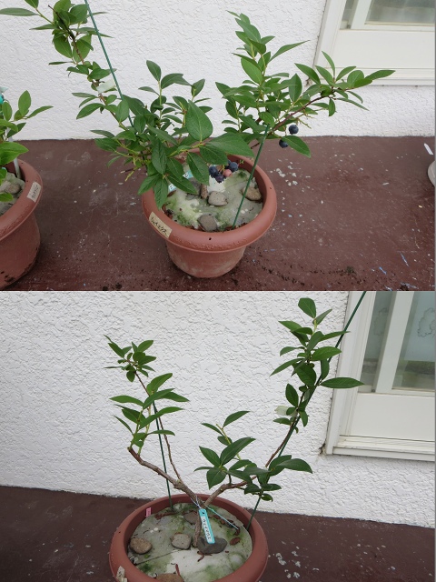 ファイル 88-6.jpg