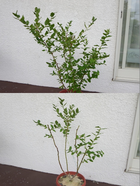 ファイル 88-7.jpg