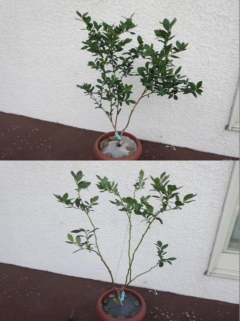 ファイル 88-8.jpg