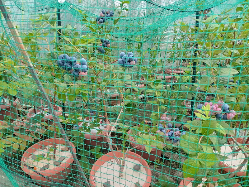 ファイル 88-9.jpg