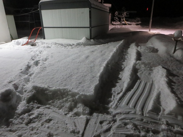 ファイル 9-1.jpg