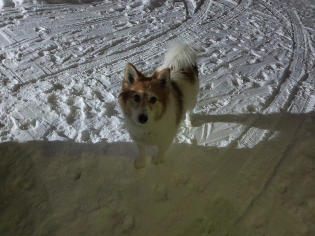 ファイル 9-2.jpg