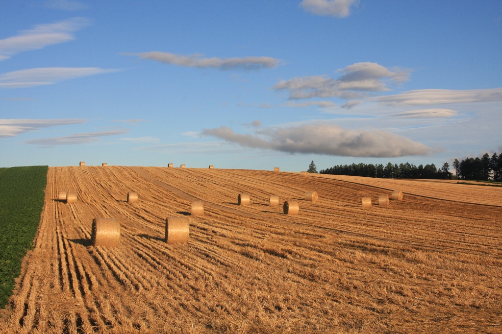 ファイル 90-1.jpg