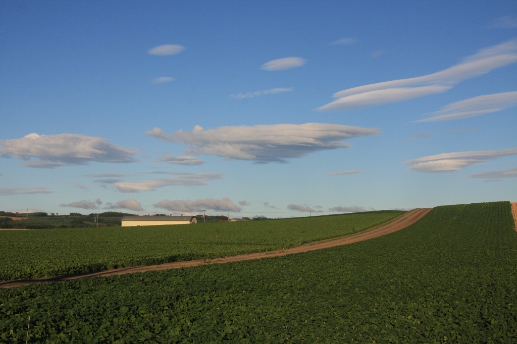 ファイル 90-2.jpg