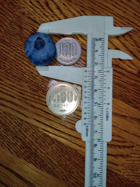 ファイル 90-3.jpg