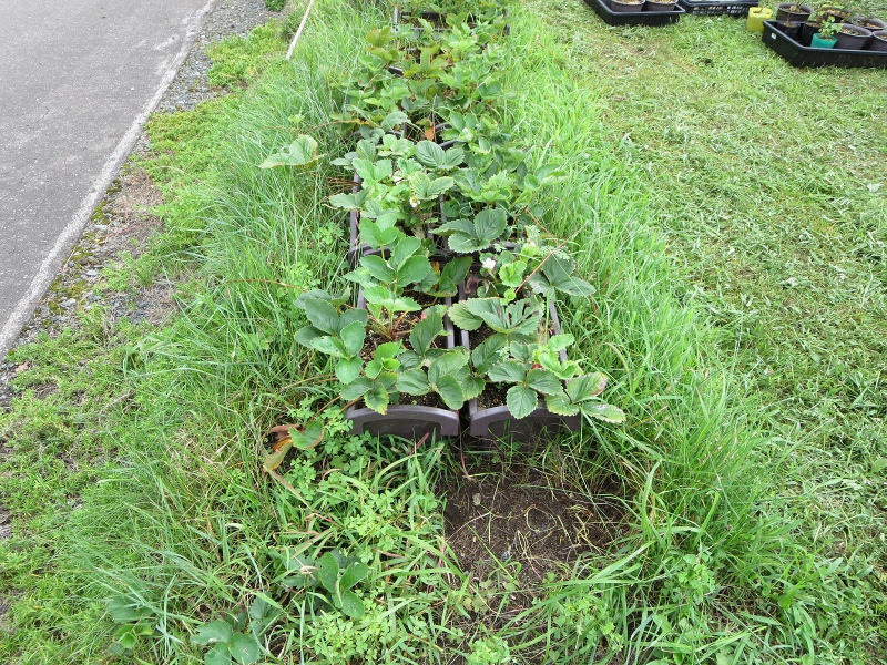 ファイル 93-2.jpg