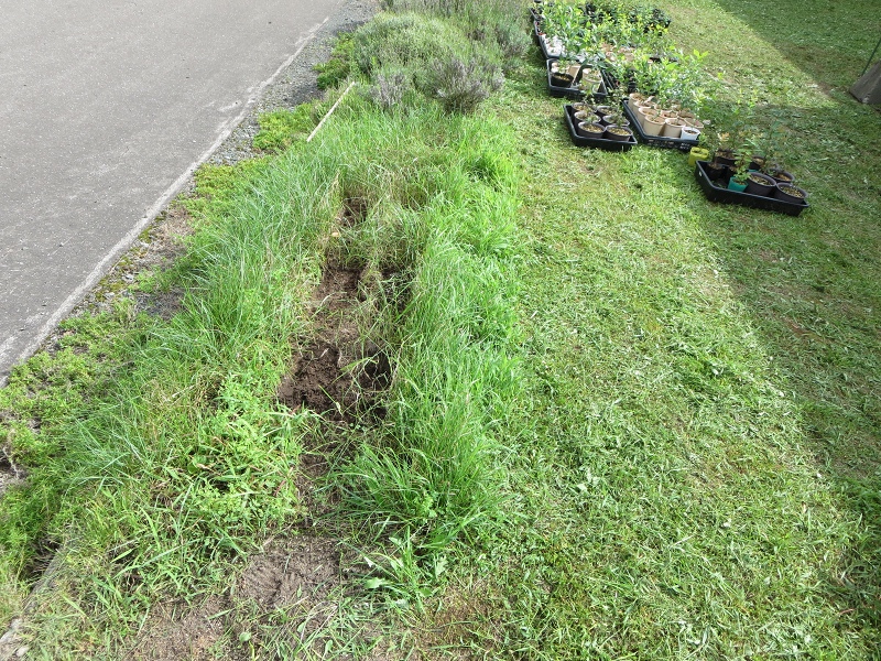 ファイル 93-3.jpg