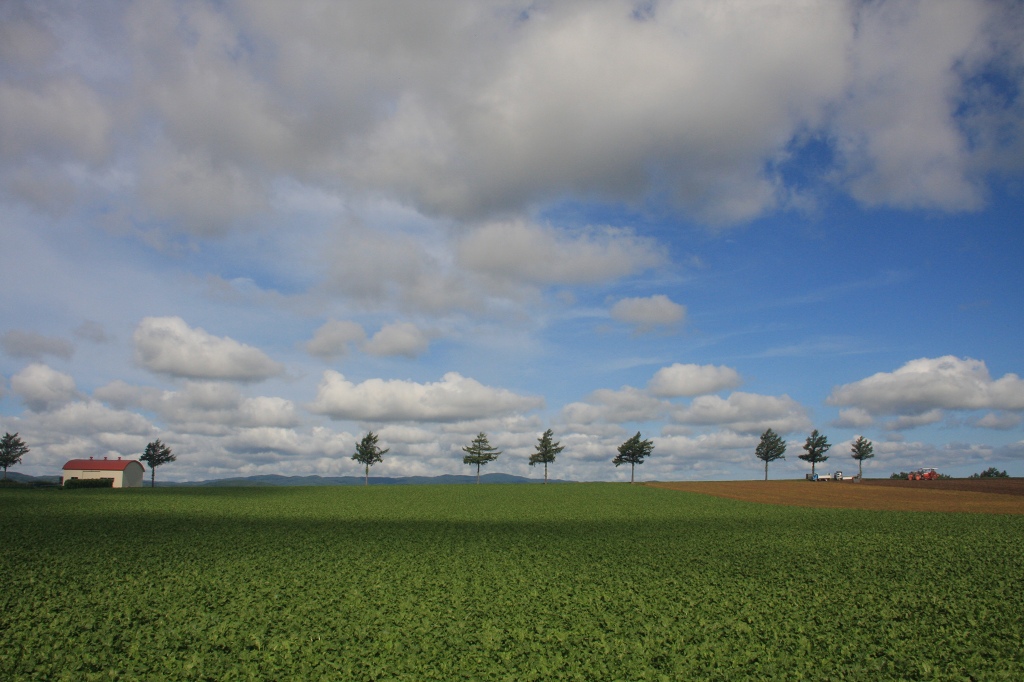 ファイル 95-1.jpg