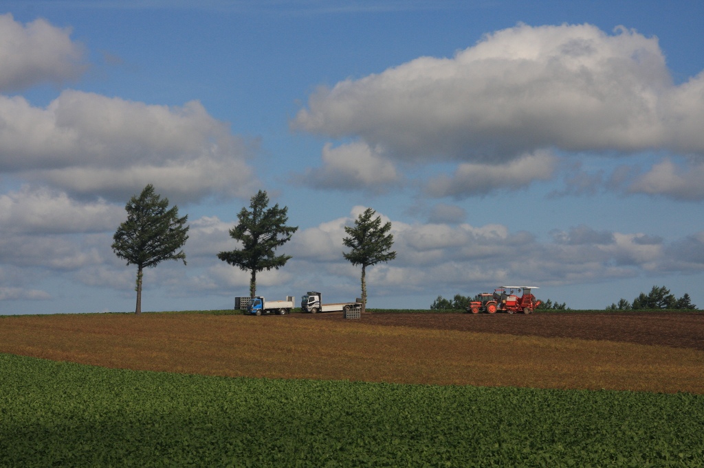 ファイル 95-2.jpg