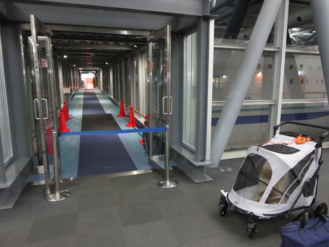 ファイル 95-5.jpg