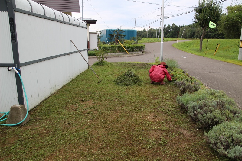 ファイル 96-1.jpg