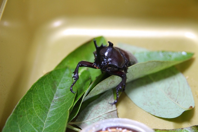 ファイル 96-3.jpg