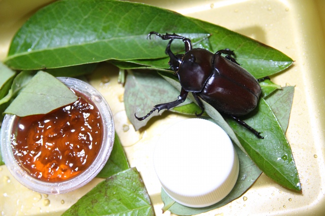 ファイル 96-4.jpg