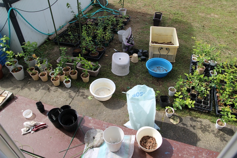 ファイル 96-8.jpg