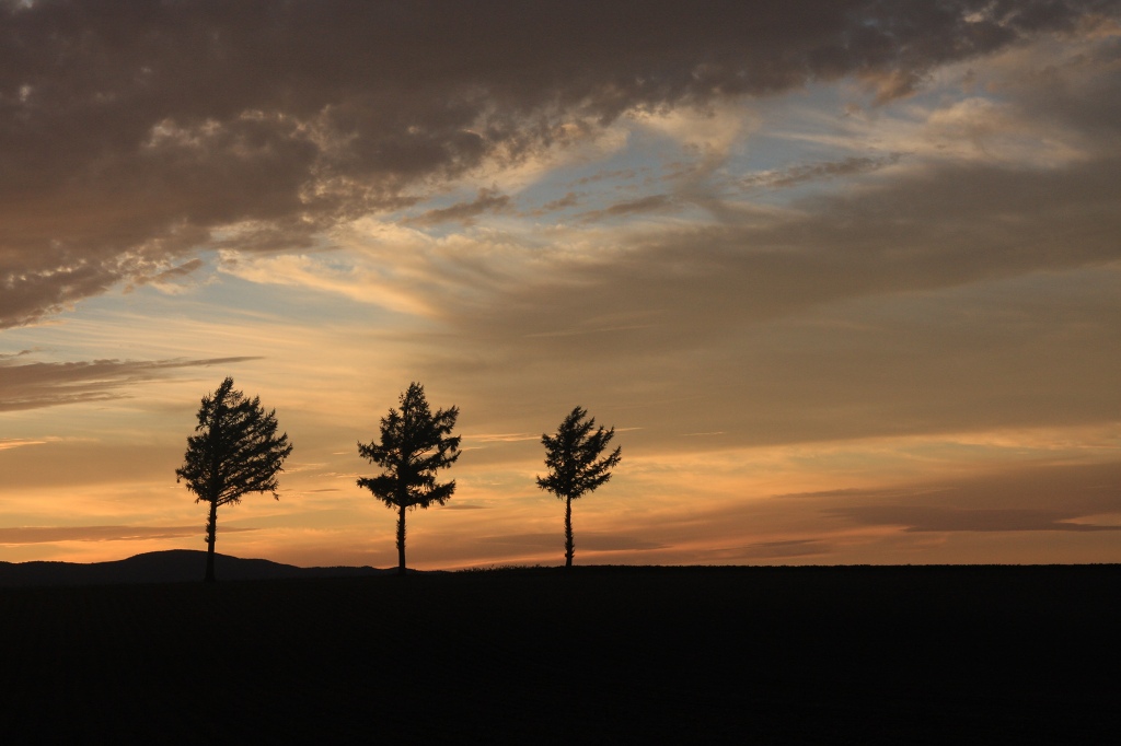 ファイル 98-3.jpg