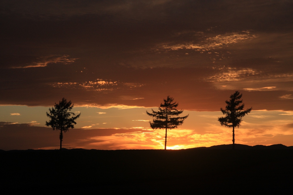 ファイル 98-4.jpg