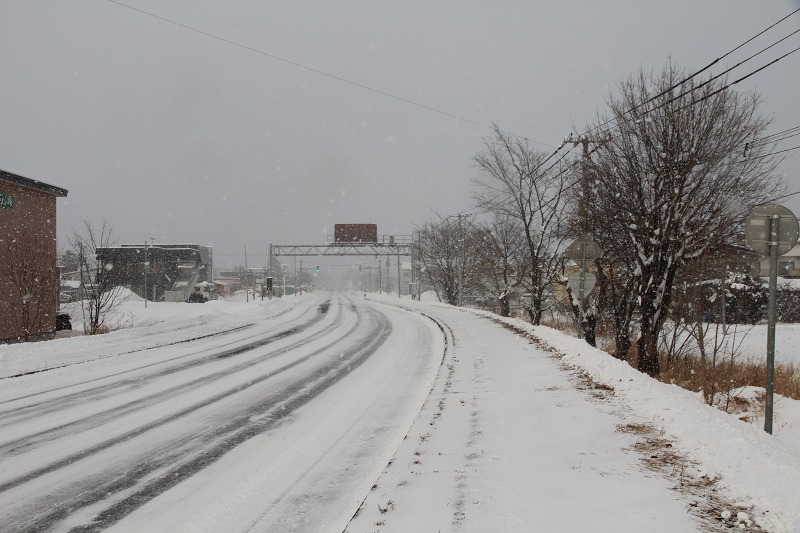 ファイル 1-1.jpg