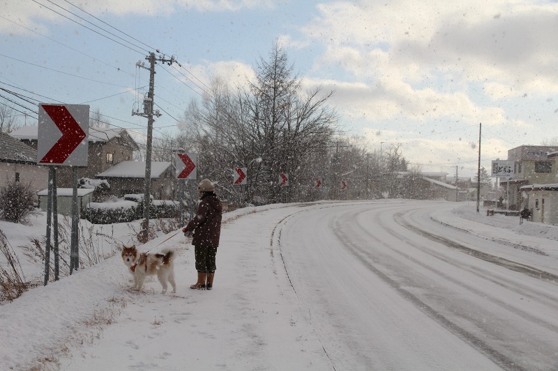 ファイル 1-2.jpg