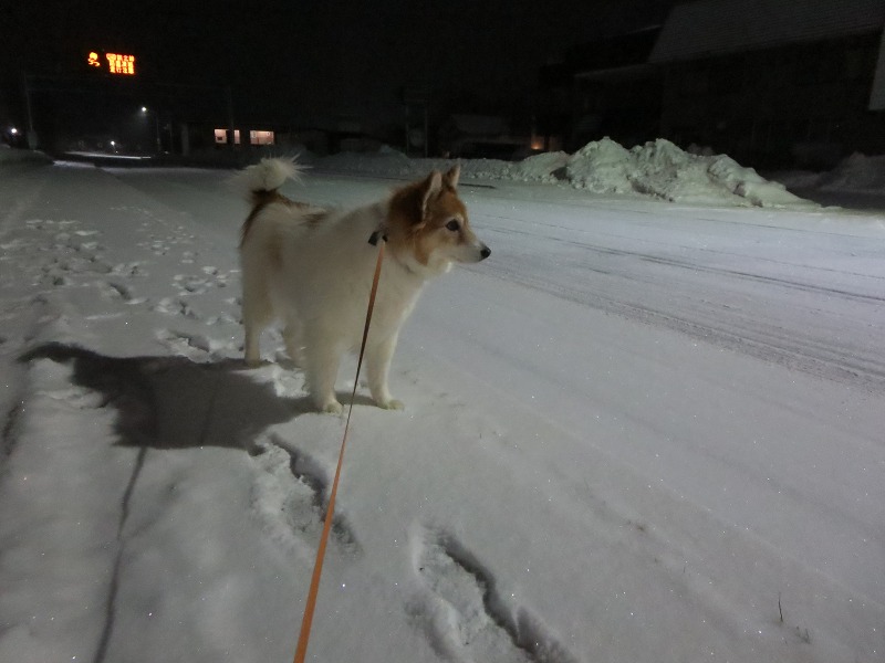 ファイル 10-9.jpg