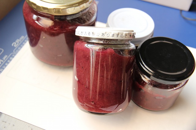 ファイル 100-2.jpg