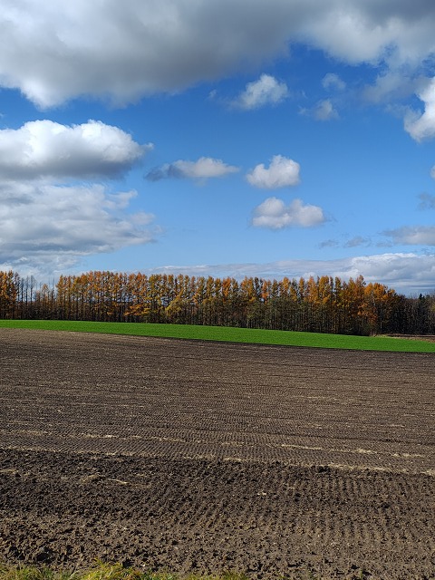 ファイル 103-5.jpg