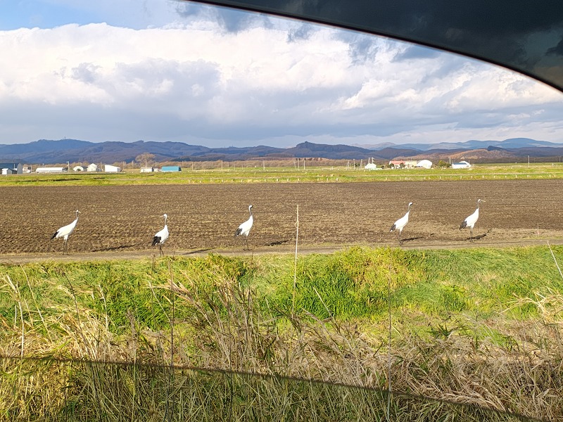 ファイル 104-1.jpg