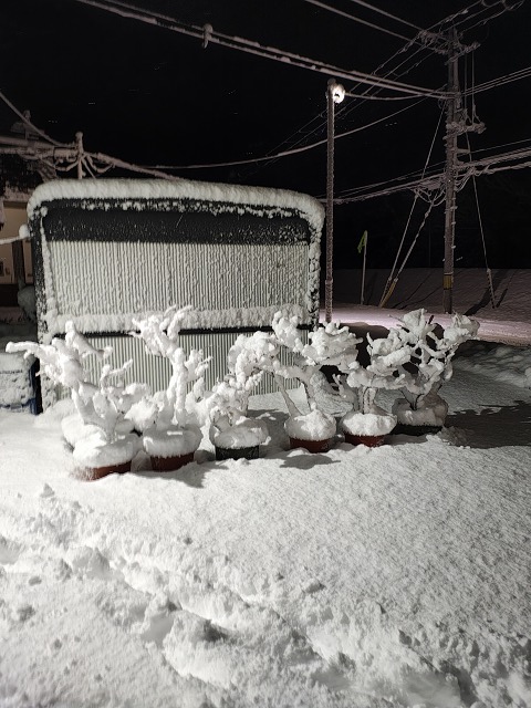 ファイル 104-2.jpg