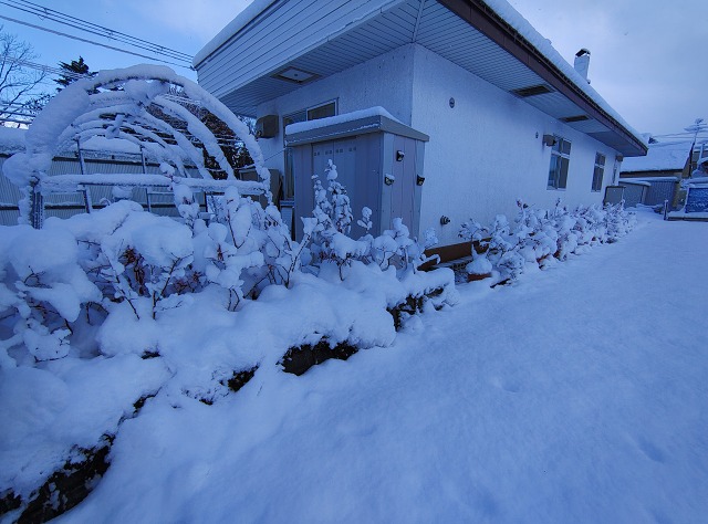 ファイル 104-3.jpg