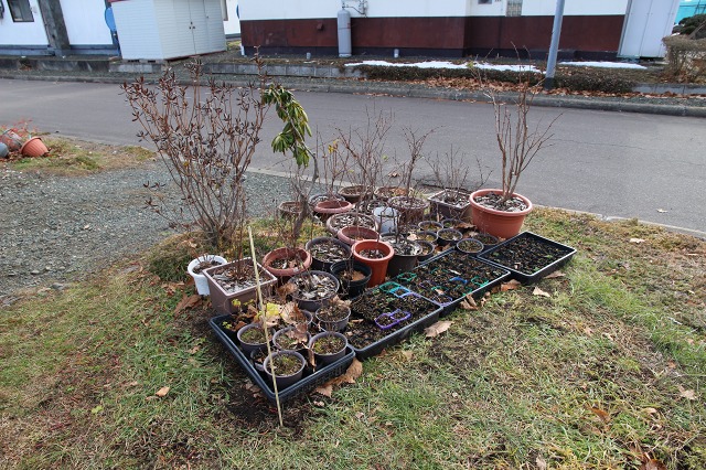 ファイル 105-2.jpg