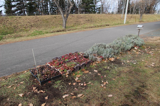 ファイル 105-3.jpg