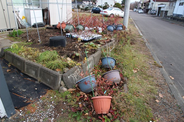 ファイル 105-4.jpg