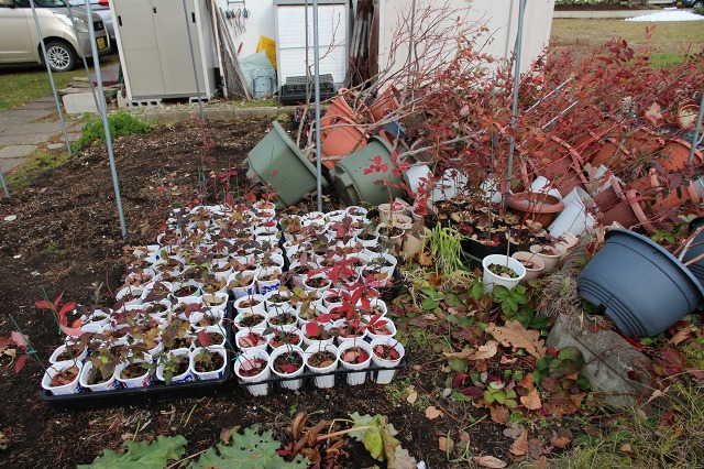 ファイル 105-5.jpg