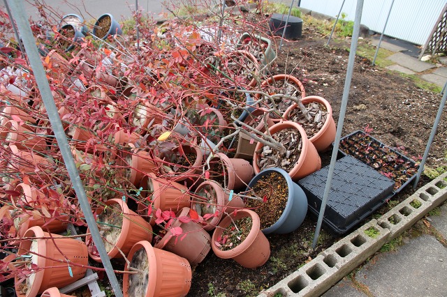 ファイル 105-8.jpg