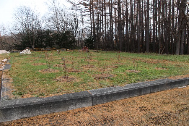 ファイル 105-9.jpg