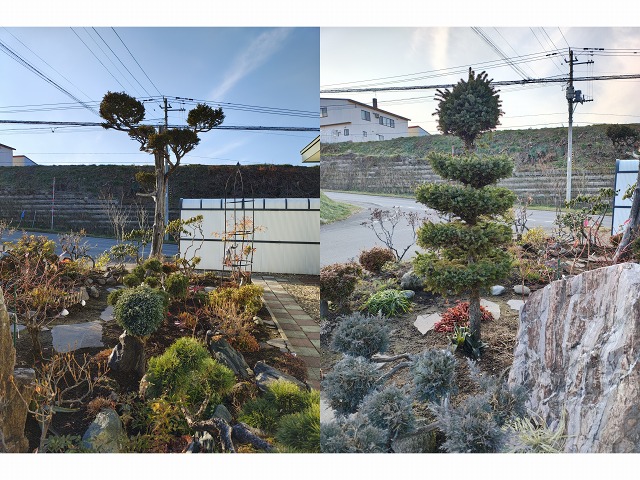 ファイル 107-1.jpg