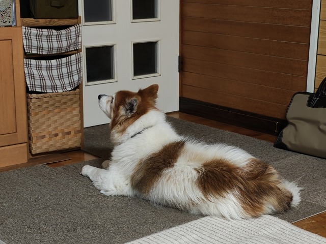 ファイル 107-3.jpg