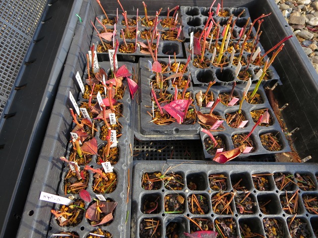 ファイル 107-4.jpg