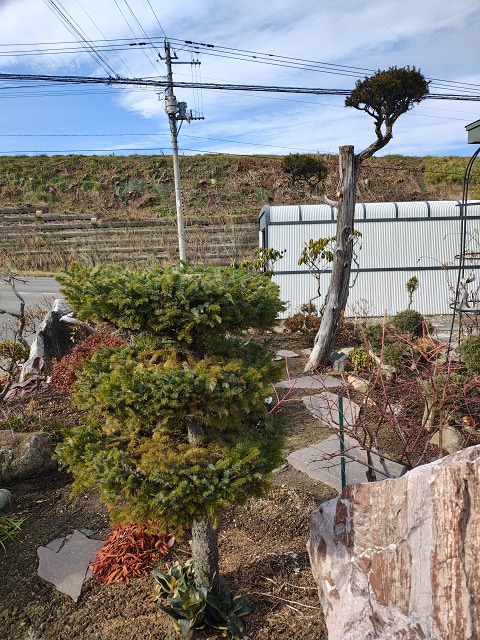 ファイル 107-9.jpg